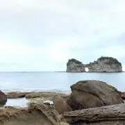 ぽいぽいさんの画像