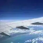 aoの画像
