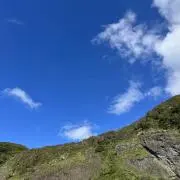 いなみーの画像