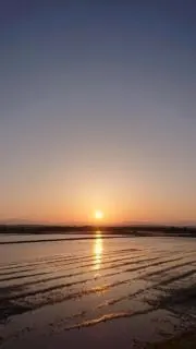 ノリマサの画像