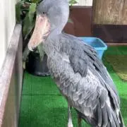 mmm Iの画像