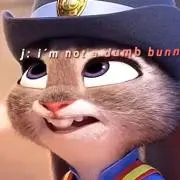 わいるどの画像