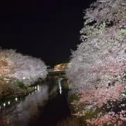 あさちゃん