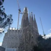 てぃーせの画像