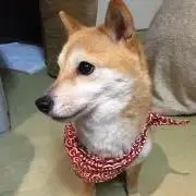 けーちゃん