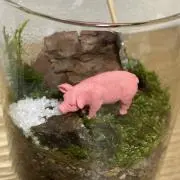 chiipappa⭐️の画像