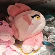 ショウの画像
