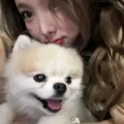 菜の画像
