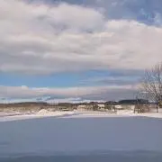はなつるの画像