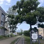 Otibichan