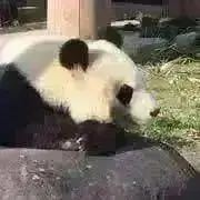 ❤️KO♪✉️メッセージ下さいませ☺︎の画像