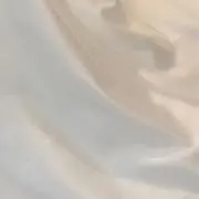 マチルダの画像