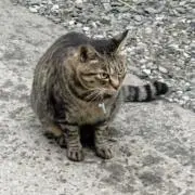 Mammy  ☆プロフ見て下さいね☆の画像