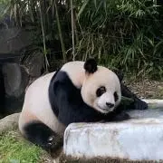 J.Jの画像