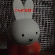 コスモの画像