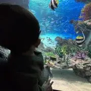 aoりんごの画像