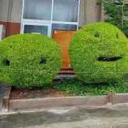 piyo*の画像