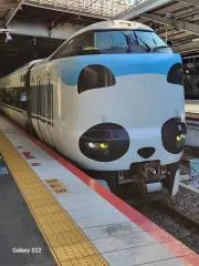 勇太の画像