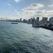 翔