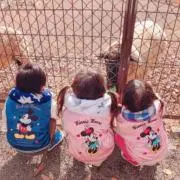 みじぇ(プロフ見てください(◍ ´꒳`)