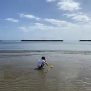 Maasaaの画像