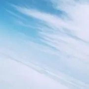 ひまわり　プロフィール確認お願いします