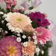 みぃの画像