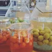 チムたんの画像