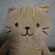 kumaの画像