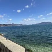 りんごの画像