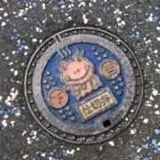 きなこの画像
