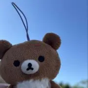 ちゃいろいこぐま3の画像