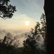 つんつん（即購入歓迎です）の画像
