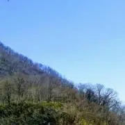 しけの画像