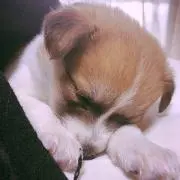 うーたん