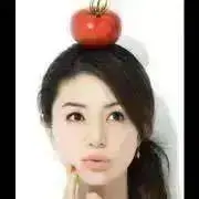 ポコごろうの画像
