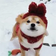 mumuの画像