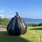 ららの画像