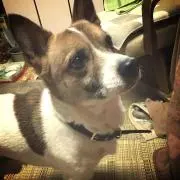 ベベル