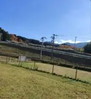 ごろの画像
