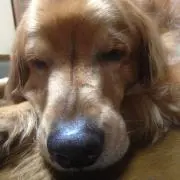 音くんの画像