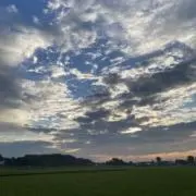 あーい。の画像