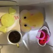 みんちゃん※8/9〜15発送お休みしますの画像