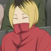 にゃんこの画像