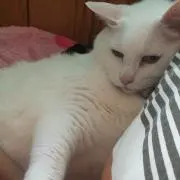 まりあの画像