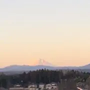 ゆるりの画像