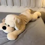 エマ1024の画像