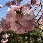 ☆きらり☆