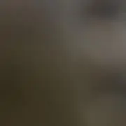 筋肉太郎の画像