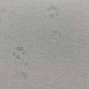 りゅうくの画像